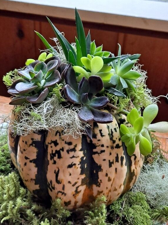 Halloween project